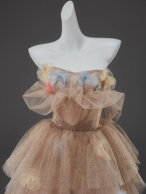 Champagne A-Line Off Shoulder Tulle Sequin Long Ball Dress Cute Layered Dress ED01526