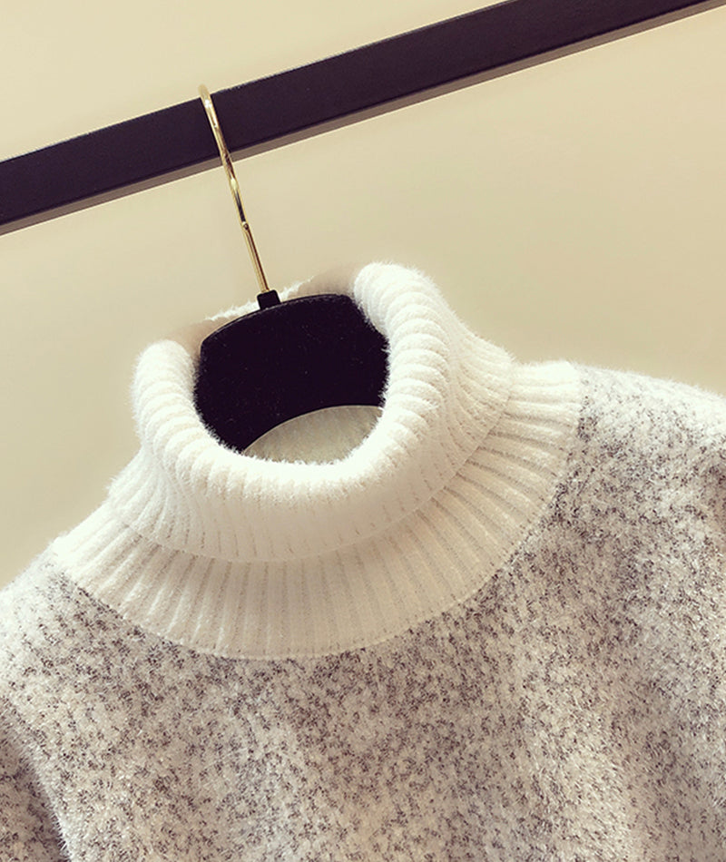 Sweater Cute Turtleneck Sweater ED0256
