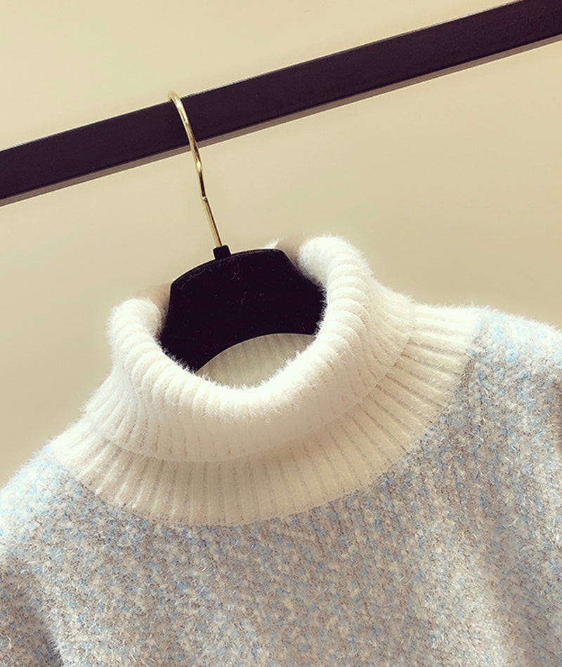 Sweater Cute Turtleneck Sweater ED0256