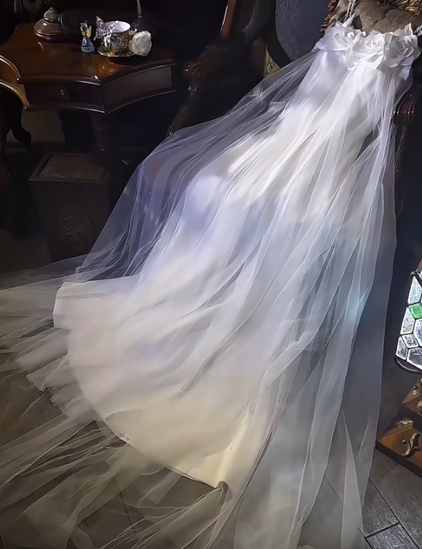 Fairy Strap A-Line Tulle Light Luxury Wedding Dress White Formal Evening Dress ED03965