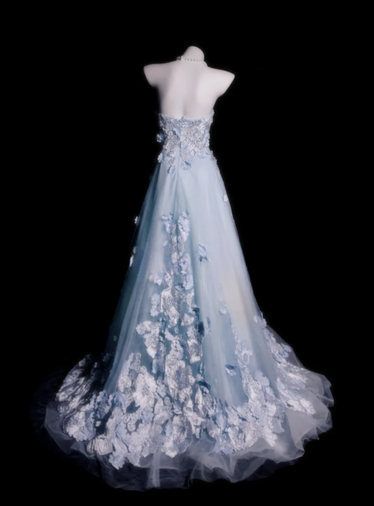 Fairy Strapless A-Line Long Prom Dresses Tulle Appliques Blue Evening Gowns Sleeveless Birthday Dresses ED05675