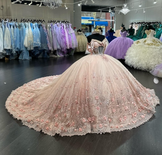 Cute Ball Gown Blush Pink Long Prom Dresses Tulle Off-shoulder Quinceanera Dresses Appliques Short Sleeves Sweet 16 Dress ED05765