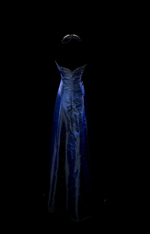 Robe de bal bleu marine chic en satin, dos nu, fourreau, longue robe de soirée ED07413