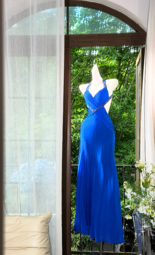 Chic Royal Blue Wedding Guest Dress Halter Sheath Chiffon Long Evening EvaFashionDress Chic Royal Blue Wedding Guest Dress Halter Sheath Chiffon Long Evening EvaFashionDress