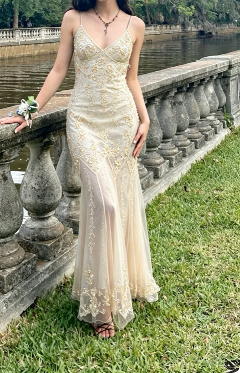 Chic Champagne Prom Dress Sheath Chiffon Beaded Long Evening Dress ED10713