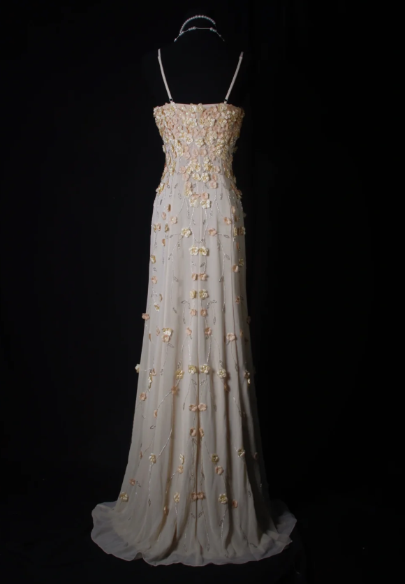 Vintage Sheath Long Prom Dresses Appliques Chiffon Spaghetti Straps Formal Dresses Sleeveless Evening Dresses EP06007