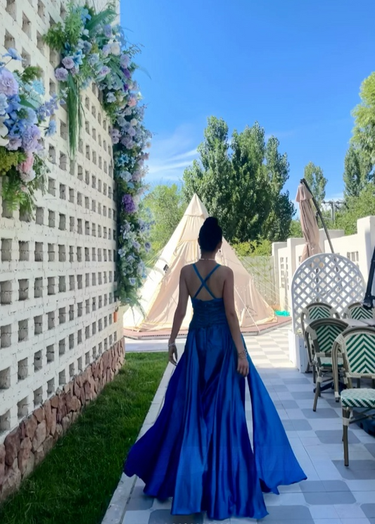 Chic Blue Long Prom Dresses Sheath V-Neck Birthday Dresses Silk Sleeveless Evening Dresses EP06043