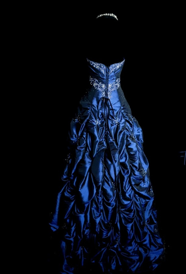 Chic Navy Blue Long Prom Dresses Satin Beaded A-Line Evening Dresses Strapless Sleeveless Formal Dresses EP06076