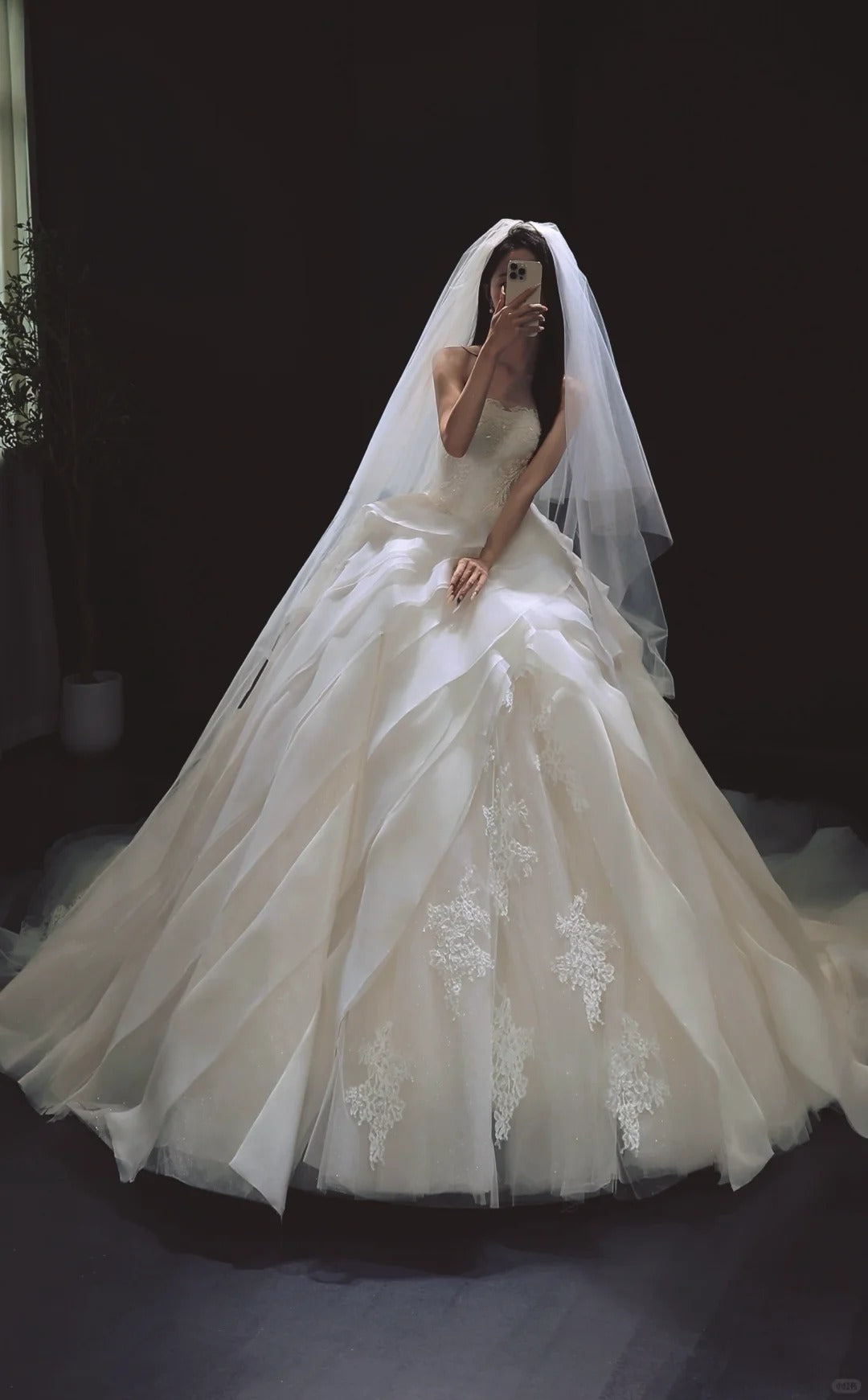 Elegant White Ball Gown Tulle Wedding Dress Applique Strapless Bridal Gown with Veil EW016
