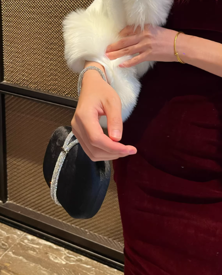 Fashion Evening Gown Clutch, Suede Wrist Bag/Evening Bag EB03938