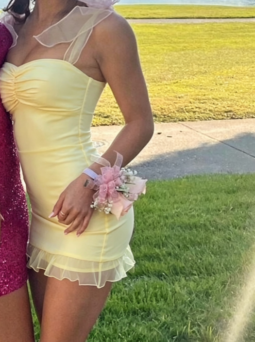 Elegant Strap Bodycon Short Formal Dress Stunning Birthday Dress Pink Homecoming Dress ED03786