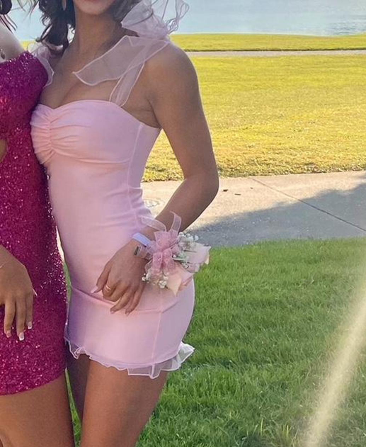 Elegant Strap Bodycon Short Formal Dress Stunning Birthday Dress Pink – EvaFashionDress