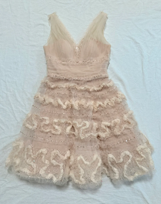V neck Sheath Short Prom Dresses Tulle Birthday Dresses, Light Champagne Homecoming Dresses ED04344