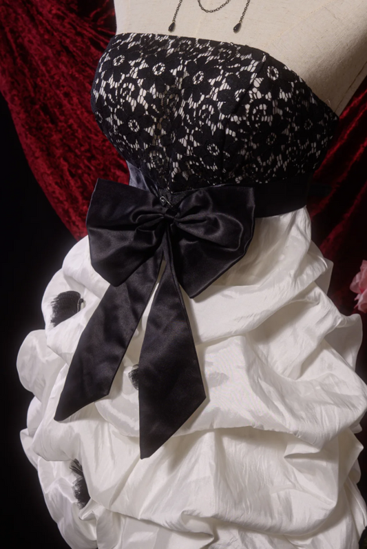 Vintage Strapless Ball Gown Lace Birthday Dresses Taffeta White Hoco Dresses ED04487