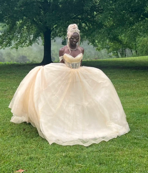 Robes d'anniversaire élégantes bleu dégradé, col en V, paillettes, mousseline, fourreau, robes de bal, robes de soirée ED04456