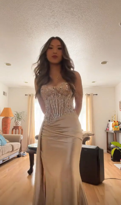 Sexy Spaghetti Straps Sheath Long Prom Dresses Satin Applique Champagne Evening Dresses  ED05621