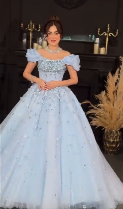 Fairy Off-shoulder A-line Long Prom Dresses Tulle Pale Blue Birthday Dresses  Sleeveless  Christmas Dresses   ED05642