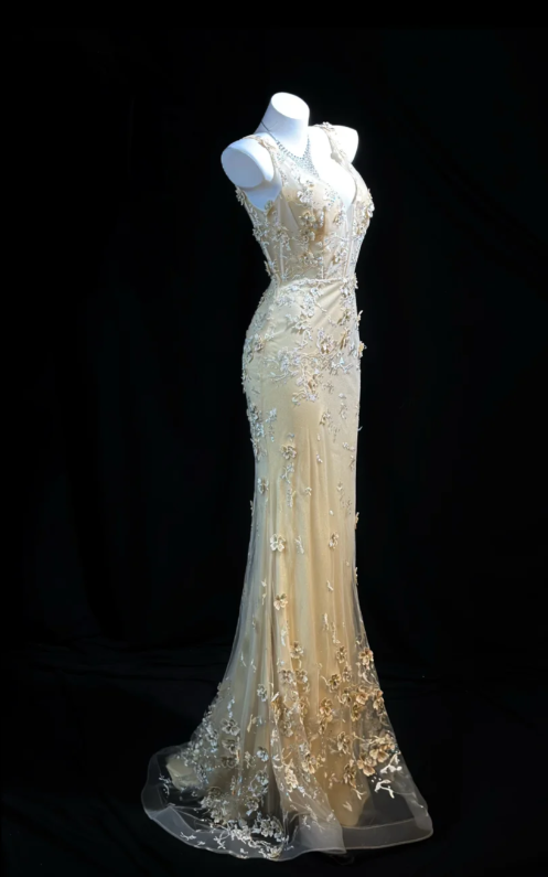 Vintage  V-neck Sheath Long Prom Dresses Tulle Appliques Apricot Evening Gowns Sleeveless Party Dresses ED05674