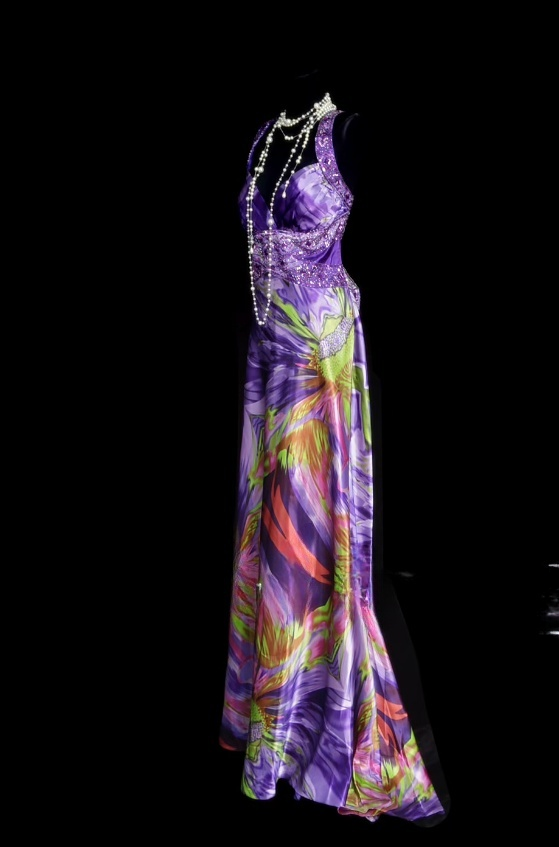 Elegant Purple Sheath Long Prom Dresses Beaded Silk V-neck Evening Gowns Sleeveless Formal  Dresses ED05809