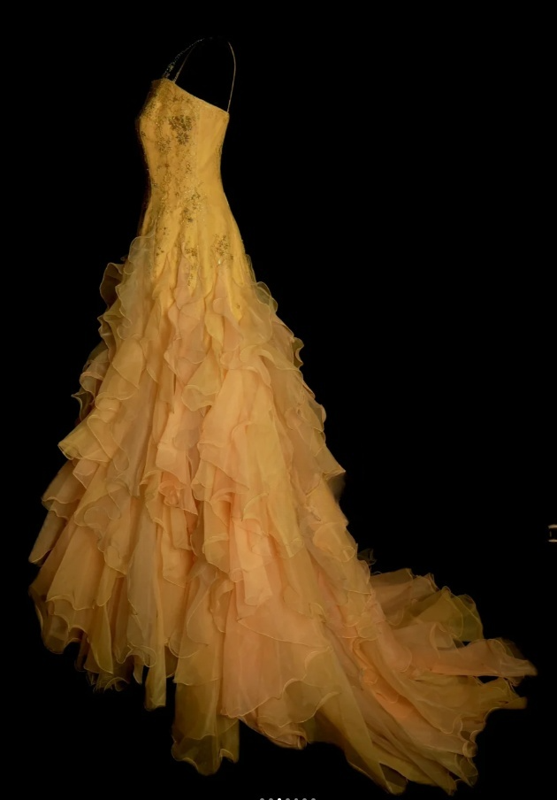 Elegant Strapless Yellow Long Prom Dresses Beaded Tulle A-Line Birthday Dress  ED06061