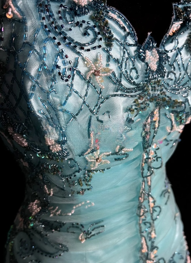 Chic Blue Long Prom Dresses Sweetheart A-Line Evening Dresses Beaded Tulle Sleeveless Party Dresses ED06125