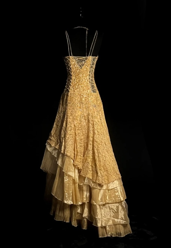 Chic Gold Long Prom Dresses Spaghetti Straps A-Line Evening Dresses Applique Lace Sleeveless Party Dresses ED06126