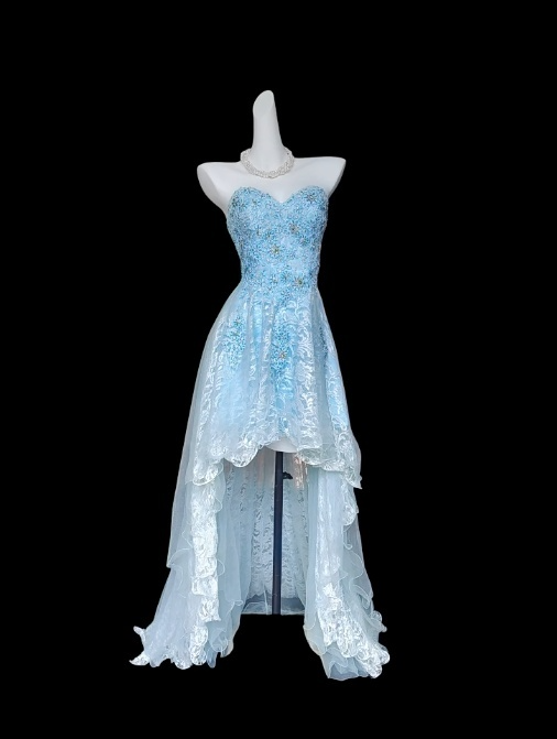 Chic Blue Hi-lo Prom Dresses Appliques Tulle Sweetheart Evening Dresses ED06155