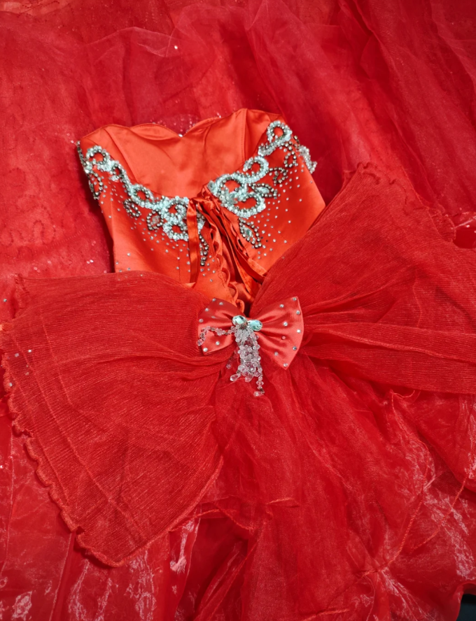 Chic Red Long Prom Dresses Applique Tulle Strapless A-Line Quinceanera Dresses Sleeveless Sweet 16 Dresses ED06162