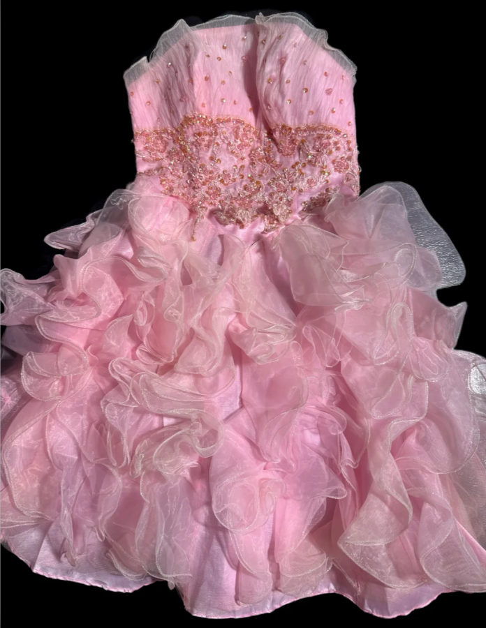 Cute A-Line Short Prom Dresses Strapless Tulle Pink Birthday Dresses Sleeveless Party Dresses ED06225