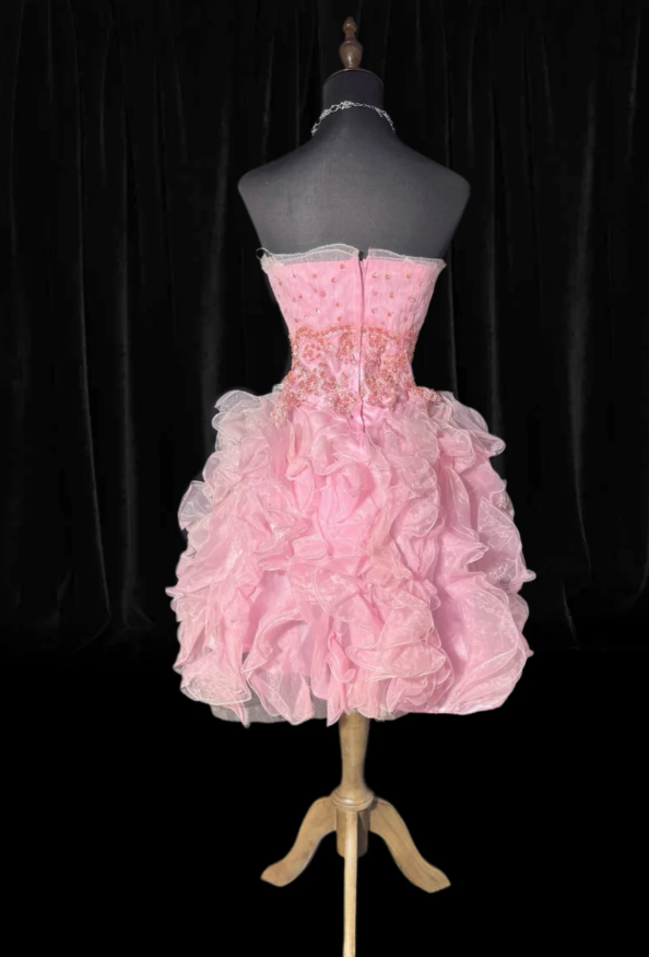 Cute A-Line Short Prom Dresses Strapless Tulle Pink Birthday Dresses Sleeveless Party Dresses ED06225