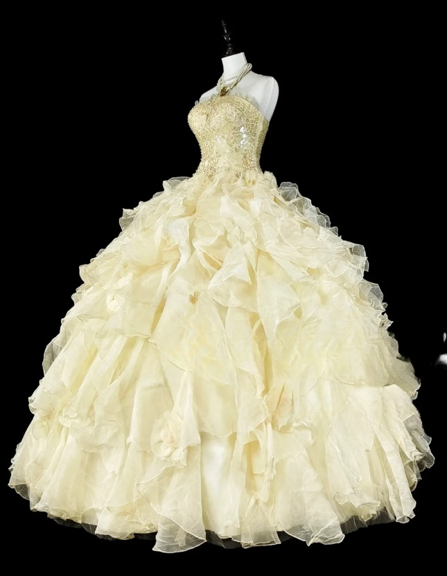 Chic Ball Gown Yellow Long Prom Dress Tulle Sequins Strapless Evening Dress Sleeveless Quinceanera Dress ED06359
