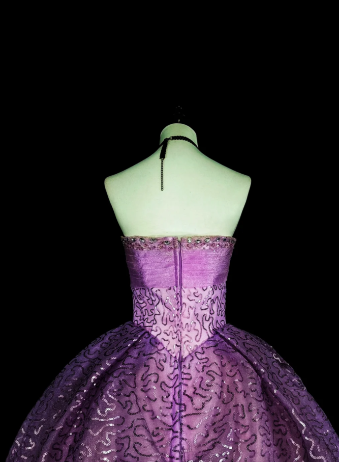 Chic A-Line Purple Long Prom Dress Sequins Tulle Strapless Evening Dress Sleeveless Birthday Dress ED06473