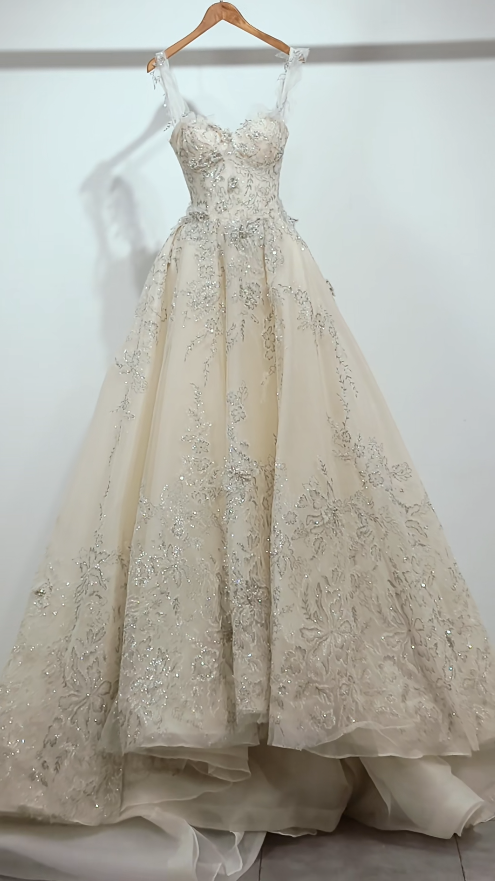 Timeless A-Line Long Wedding Dress Tulle Appliques Spaghetti Straps Champagne Bridal Dress Sleeveless Bridal Gown ED06597