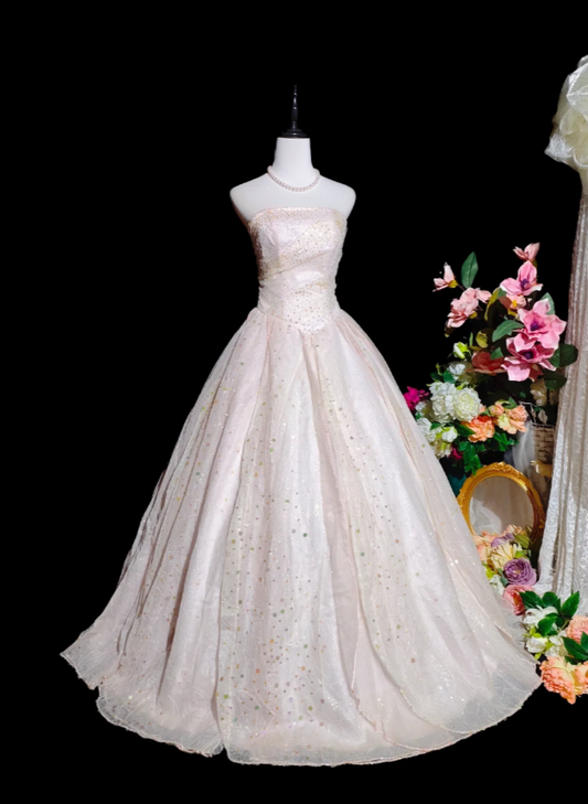 Chic Soft Pink Prom Dress Strapless A-Line Birthday Dress Tulle Sequins Sleeveless Evening Dress ED06793