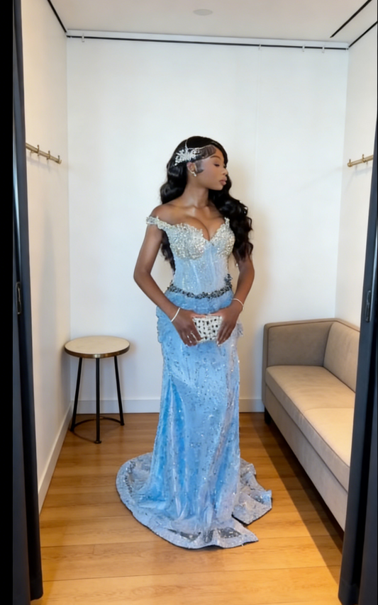 Chic Blue Prom Dress Tulle Appliques Birthday Dress Sheath Off-shoulder Evening Dress ED07096