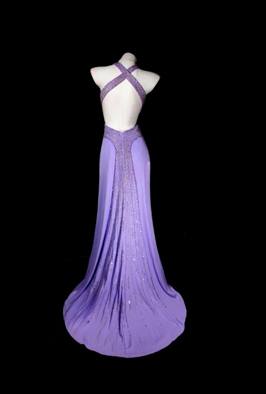 Elegant Long Purple Prom Dress  V-neck Beaded Sheath Evening Dress ED07281