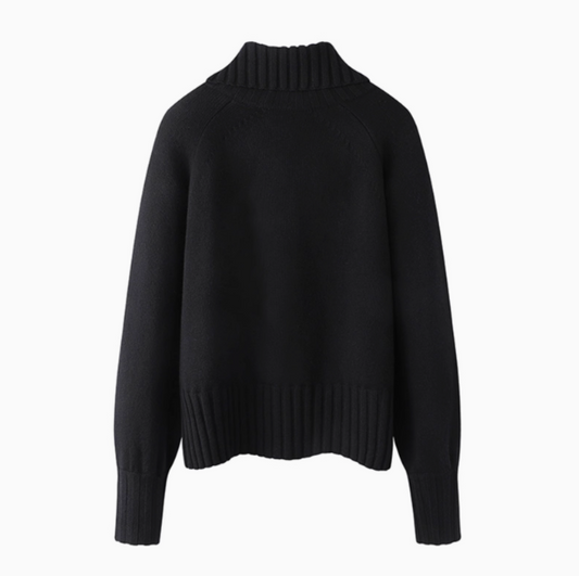 Rollkragenpullover aus Twill-Mischgewebe mit goldenen Knöpfen ED0799
