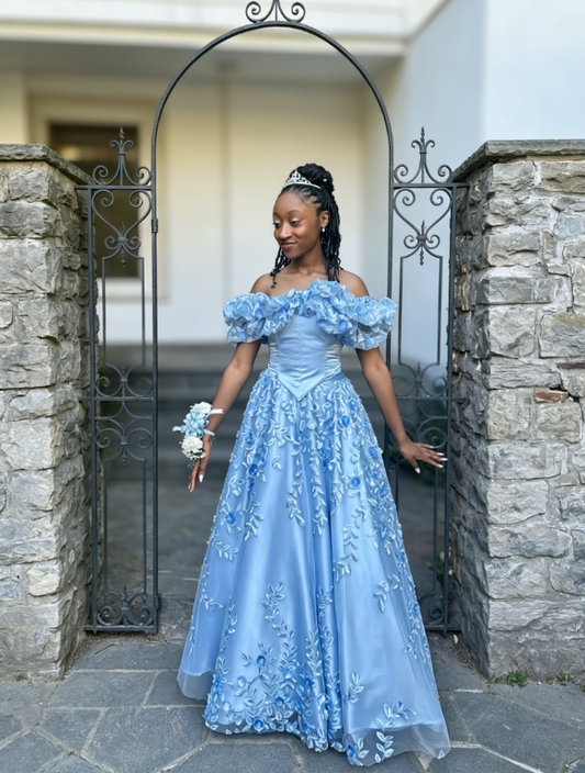 Chic Off-shoulder A-Line Applique Tulle Long Evening Dress Blue Prom Dress ED08131