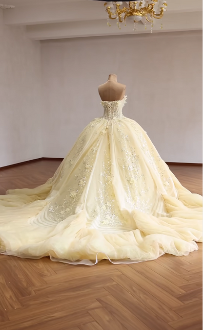 Superbe Robe de Bal Anniversaire Épaules Dénudées Robe de Quinceañera en Tulle Appliqué Robe Jaune Douce 16 ED08146