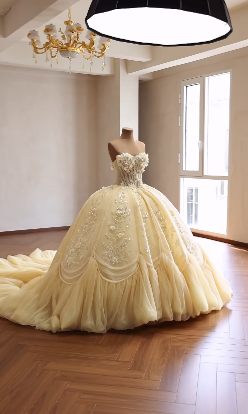 Superbe Robe de Bal Anniversaire Épaules Dénudées Robe de Quinceañera en Tulle Appliqué Robe Jaune Douce 16 ED08146