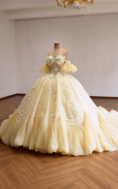 Superbe Robe de Bal Anniversaire Épaules Dénudées Robe de Quinceañera en Tulle Appliqué Robe Jaune Douce 16 ED08146