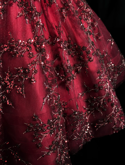 Wunderschönes Spaghettiträger-Partykleid A-Linie Burgund Geburtstagskleid Ärmelloses Applikationen Tüll Abschlussballkleid ED08290