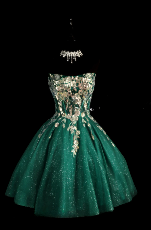 Magnifique Robe Hoco Vert Foncé Robe d'Anniversaire Bustier Tulle Robe de Soirée de Remise de Diplôme Coupe A-Line ED08756