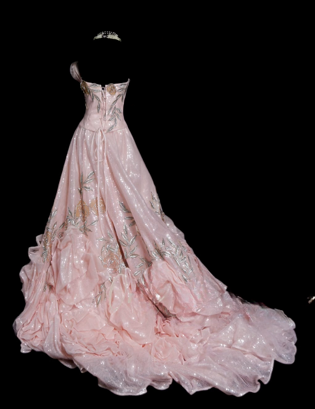 Chic Pink Evening Dress Strapless A-Line Sequins Long Prom Dress ED08854