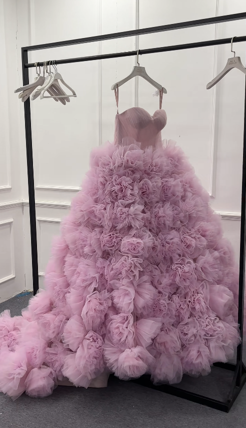 Magnifique longue robe de soirée rose poudré, bustier, coupe trapèze, robe de cérémonie en tulle pour la remise des diplômes ED09030