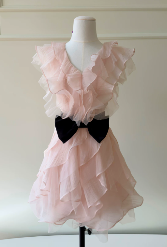 Sexy Pink Hoco Dress V-neck A-Line Birthday Dress ChiffonDress for Party ED09378