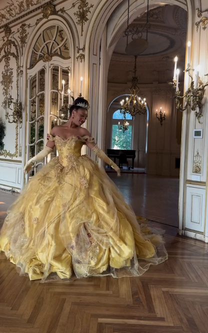 Chic Yellow Ball Gown Quinceanera Dress Tulle Sweet 16 Dress ED09905