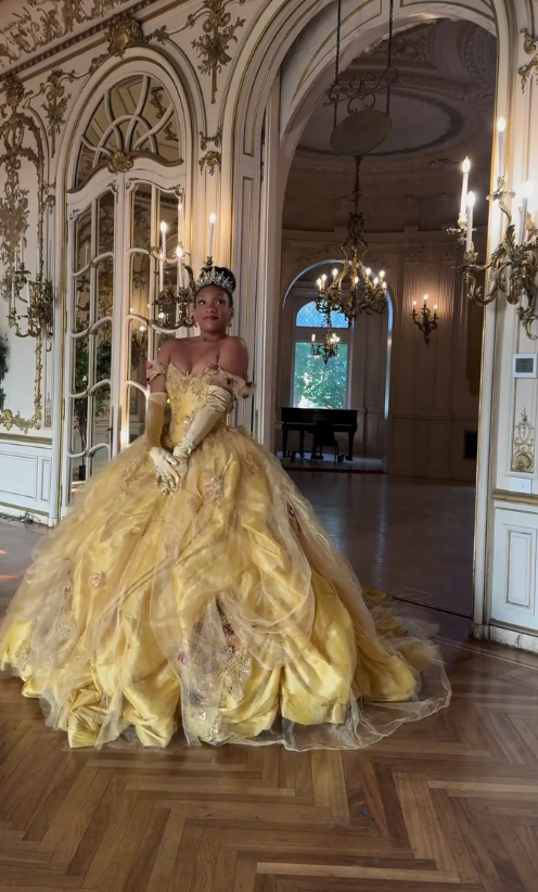Chic Yellow Ball Gown Quinceanera Dress Tulle Sweet 16 Dress ED09905