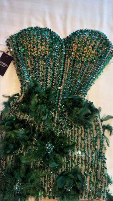 Cute Green Sheath Tulle Homecoming Dress ED10133