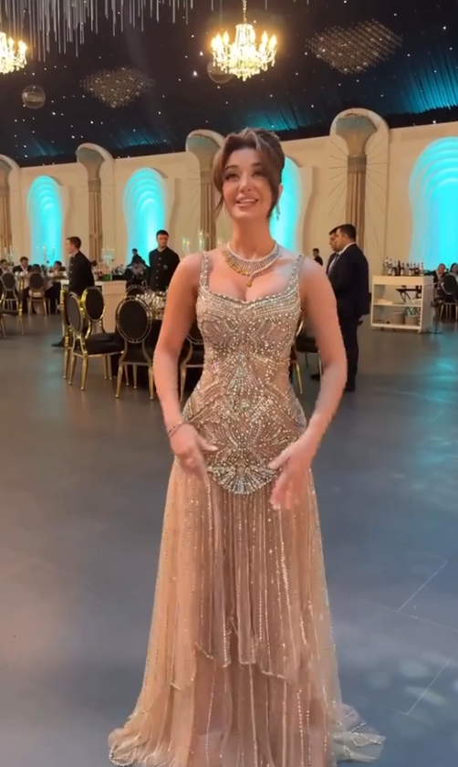 Elegant Champagne Sheath Tulle Beaded Evening Dress ED10143